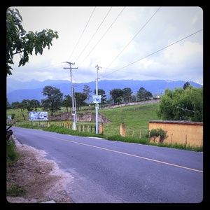 Meet your Posher, Judy